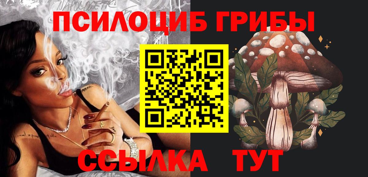 купить наркоту  Вход с VPN  Сунжа  Галлюциногенные грибы Psilocybine cubensis 